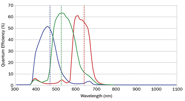 圖 3. RGB 相機的量子效率曲線顯示了紅色、綠色和藍色之間的重疊。 由愛特蒙特光學公司提供。