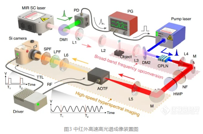 華東師大超高速大視場(chǎng)的中紅外高光譜成像取得重大突破3
